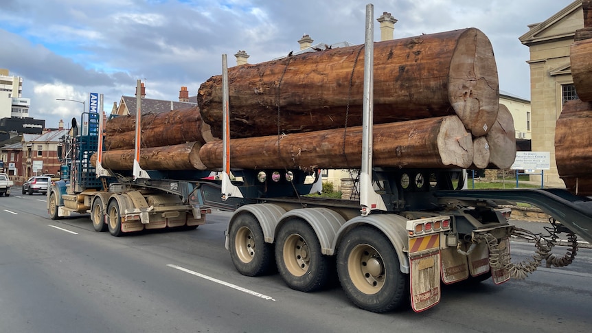 Large logs on a truck being transported through urban area.