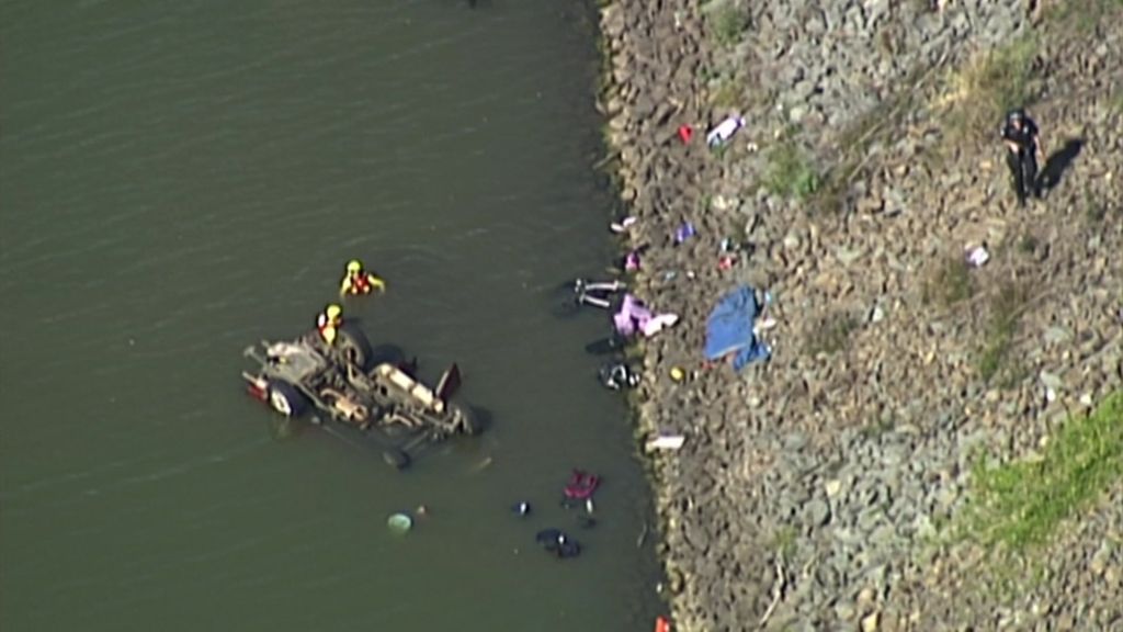 Gold Coast Hinterland Fire Prompts Question Can Rainforests Burn Abc News