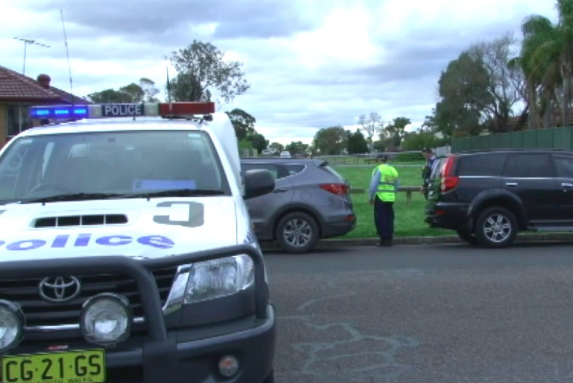 A small suburban reserve is seen with a police car parked nearby.