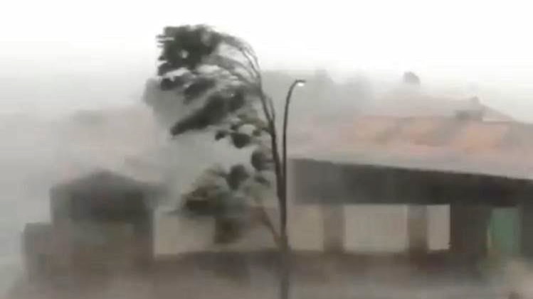 Blurry picture of a tree bending in high winds