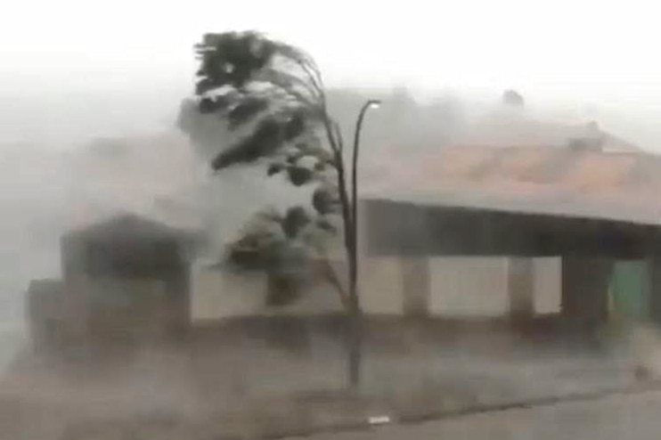 Blurry picture of a tree bending in high winds
