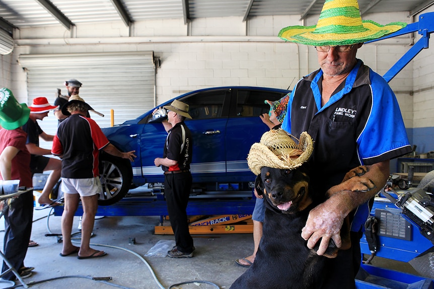 Lily the dog wears a hat in support of the #hatsforharry campaign