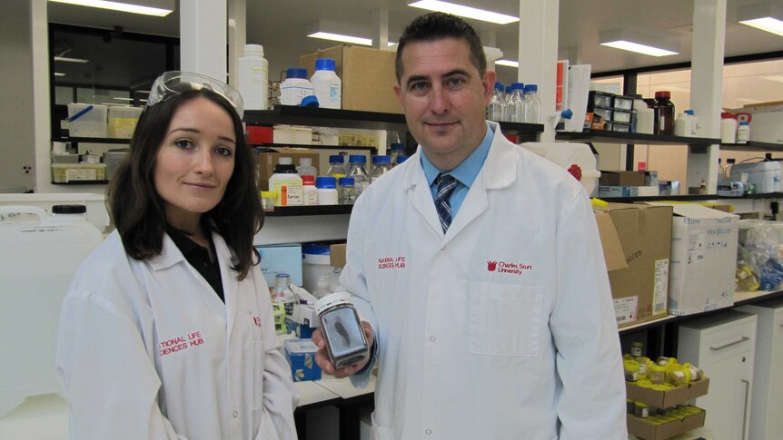 CSIRO PhD student Rebecca Barnett and Functional Grains Centre director Chris Blanchard