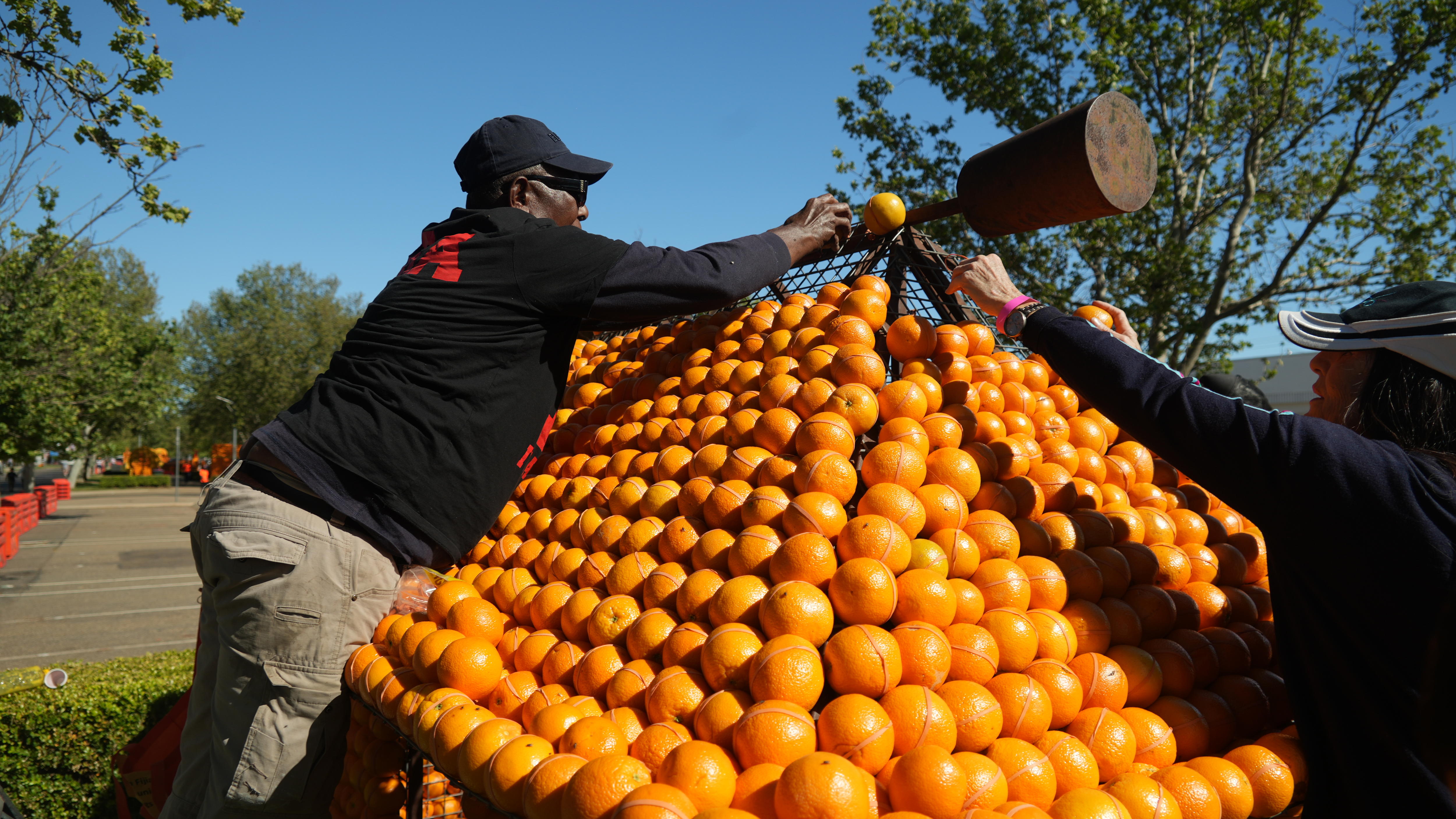 Citrus sculptures showcase business, community at Griffith's spring ...