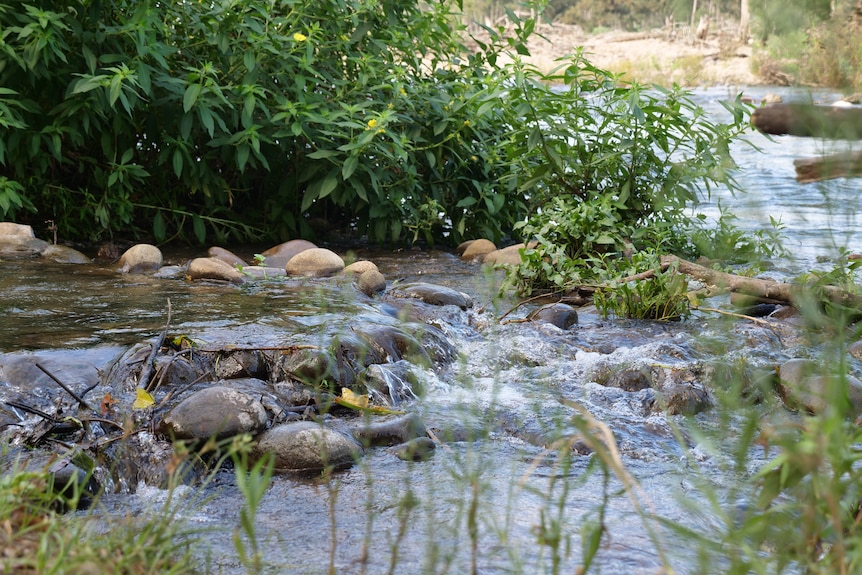 water from a creek spills over rocks into a larger river