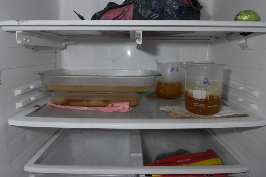 Drug-making equipment and precursor chemicals in a fridge in Sydney.