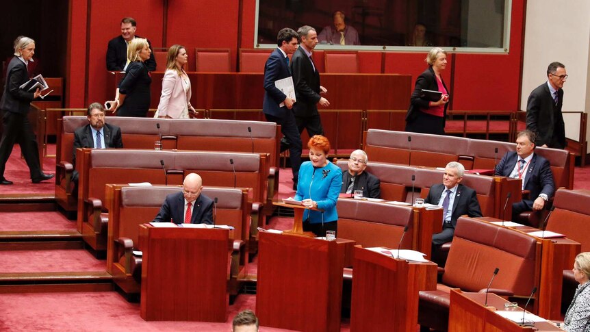 The Greens walk out on Pauline Hanson's first speech in the Senate.