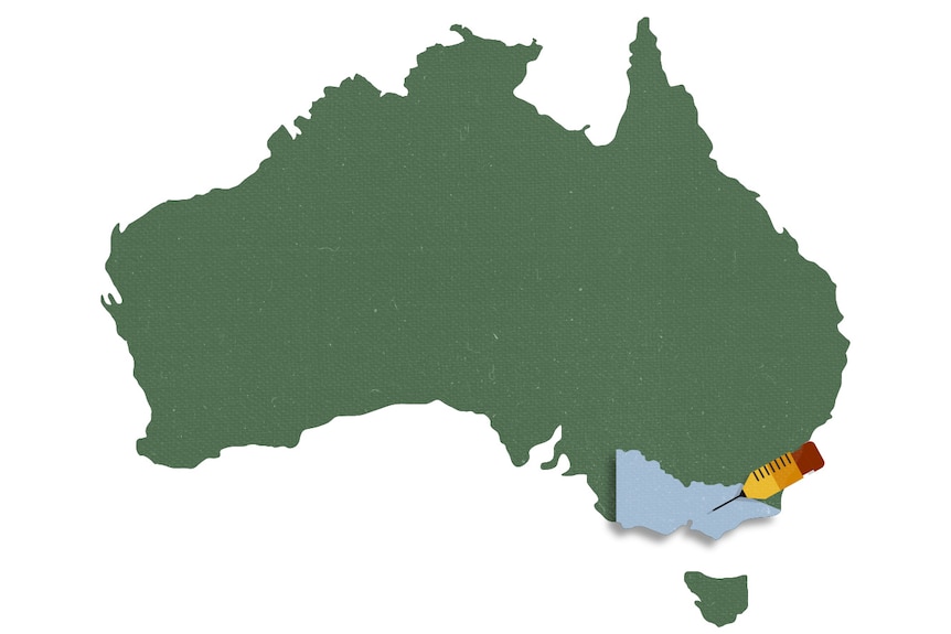A graphic design of Australia, in green, with Victoria highlighted in light blue with a symbol of syringe on it