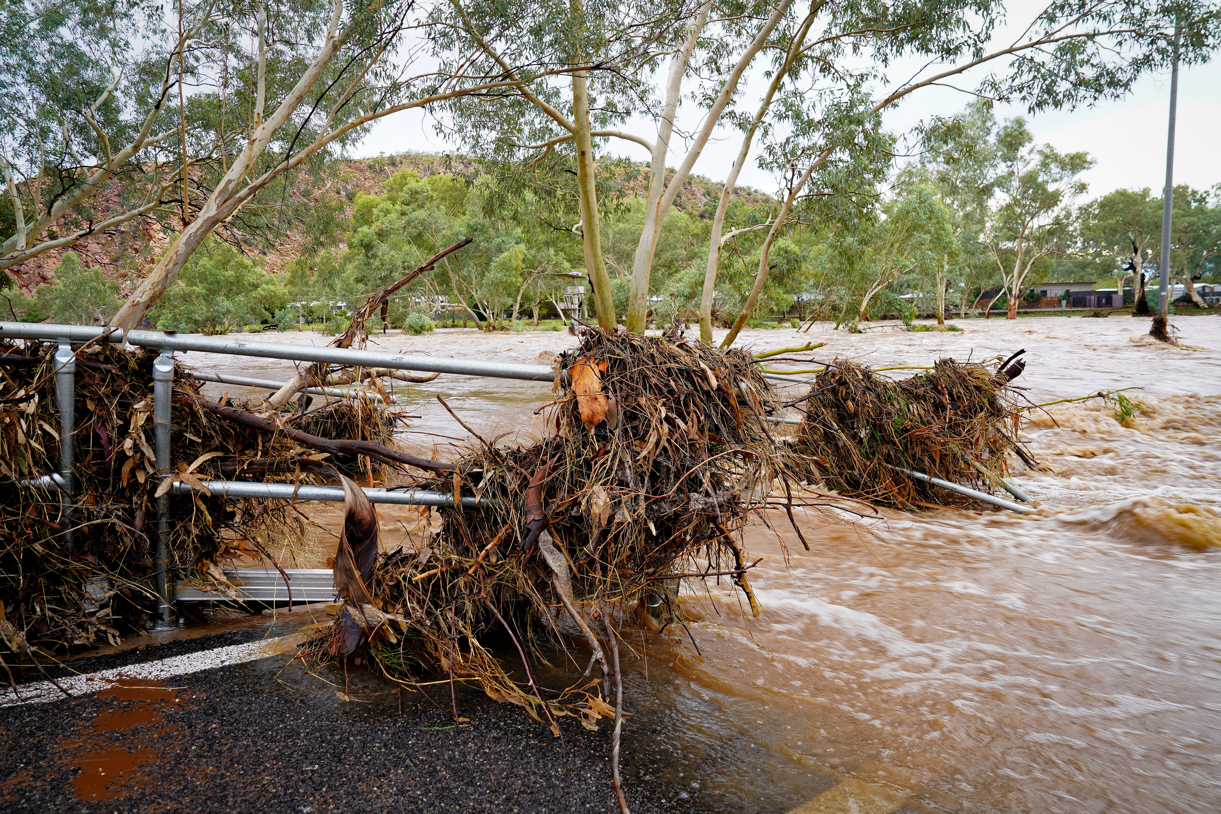 água fluindo através de uma estrada/caminho quando as árvores foram arrancadas do solo. Tirada por Xavier Martin, 12 de fevereiro de 2026.