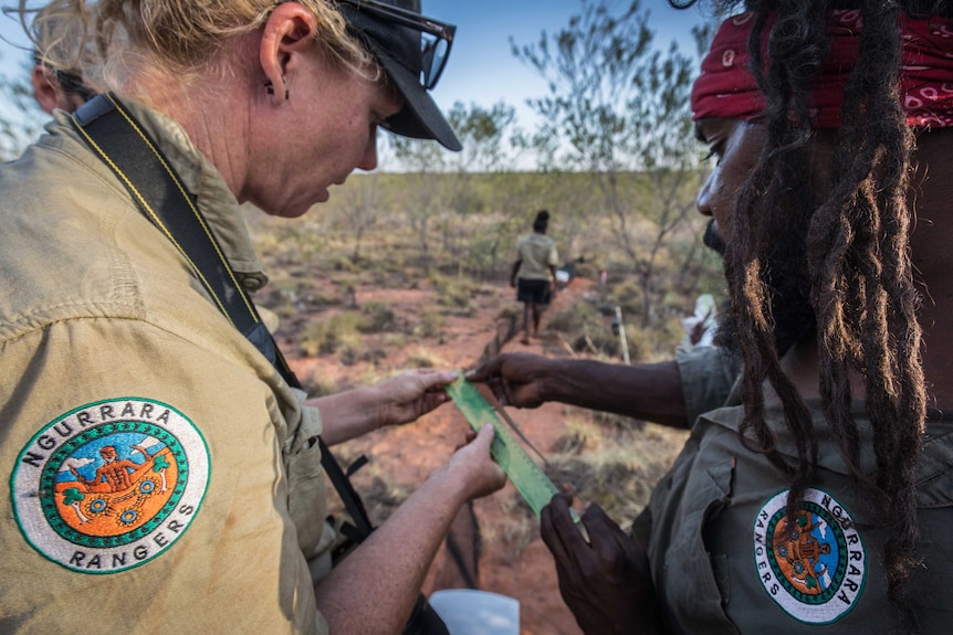 A blonde woman and an Indigenous man with dreadlocks, both wearing ranger shirts, measure a specimen with a ruler.