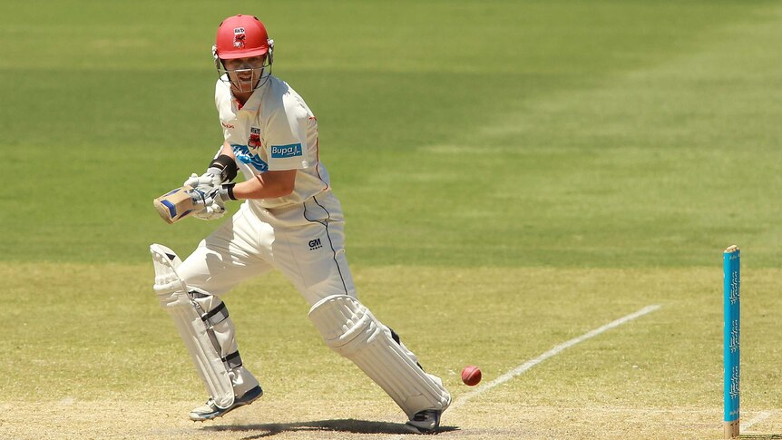 Travis Head bats for the Redbacks in their Shield win over Victoria.