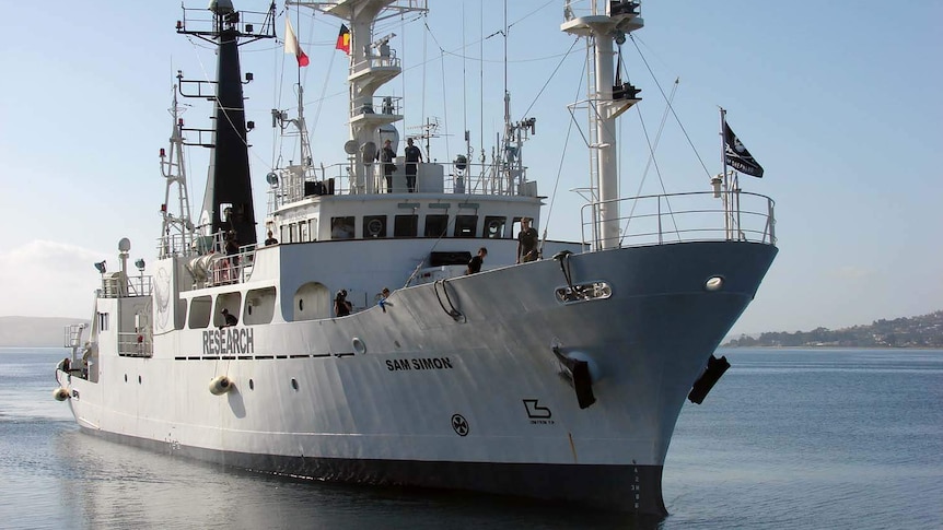 Sea Shepherd ship the Sam Simon