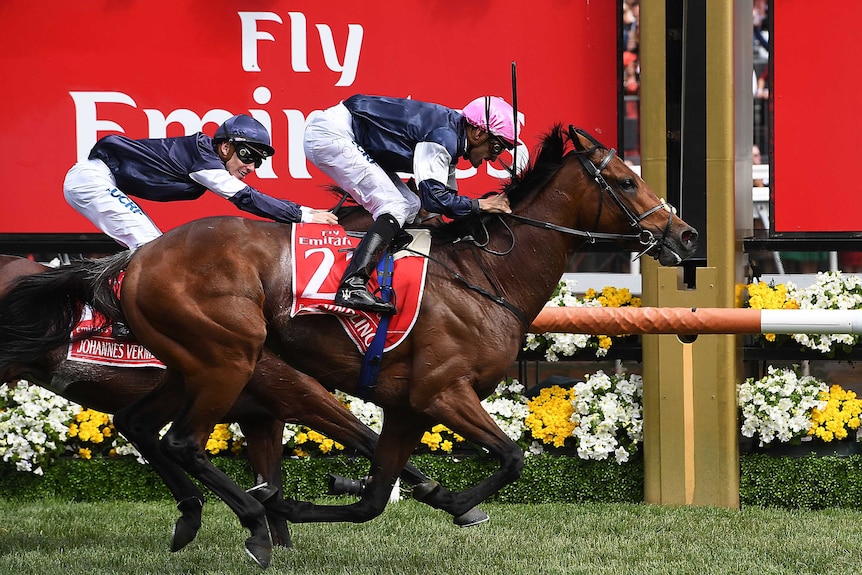 Rekindling (R) beats Johannes Vermeer (L) to win the Melbourne Cup on November 7, 2017.