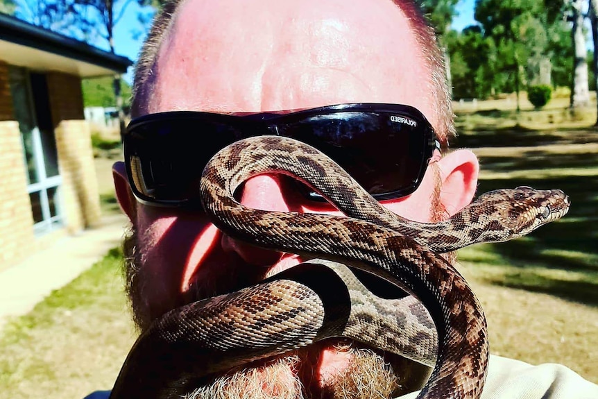 A balding and bearded man with a brown  python around his head