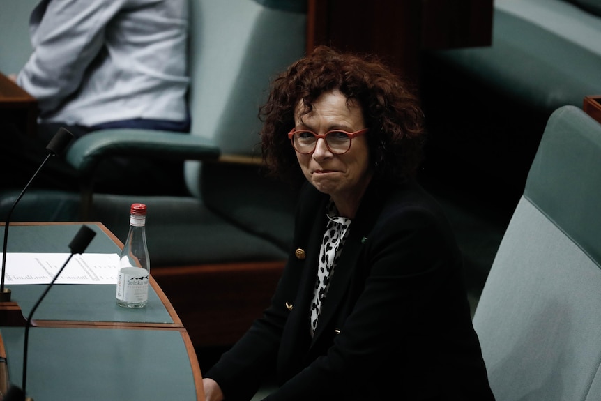 A woman with curly hair and red glasses sits on at a green desk in the House of Representatives