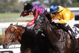Silent Achiever wins Ranvet Stakes