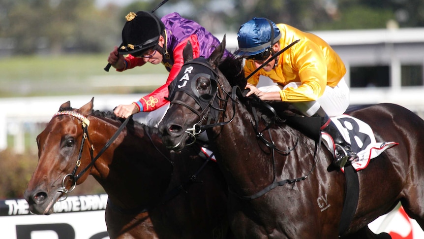 Silent Achiever wins Ranvet Stakes