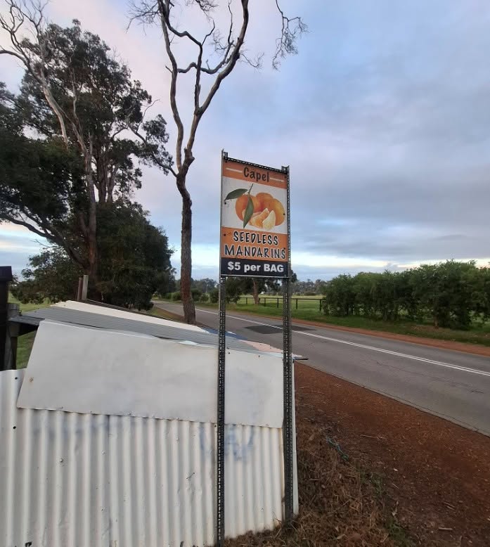A roadside stall with a sign selling mandarins for $5 per bag