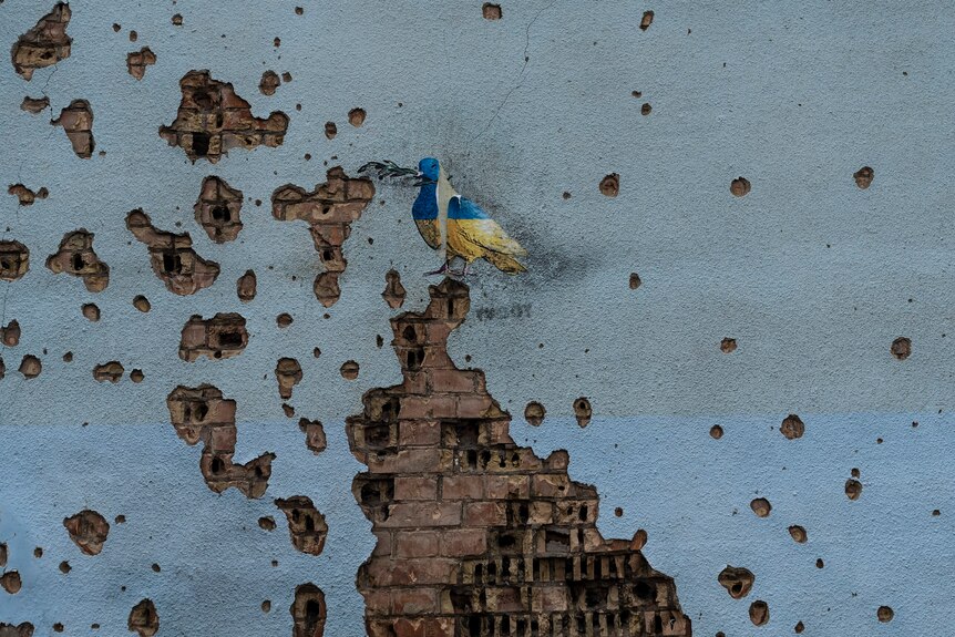 A wall damaged by shelling with some visible brick and a painting of a dove in Ukraine colours