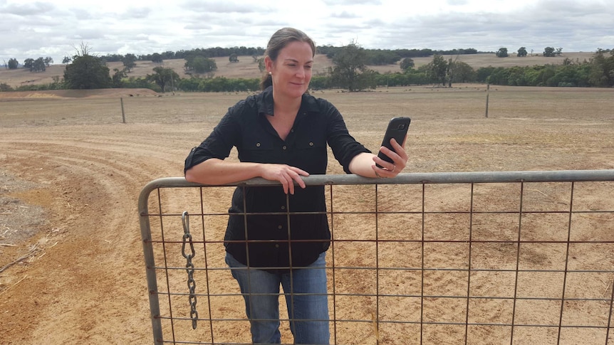 Woman stands behind a steel gate on edge of paddock holding mobile phone