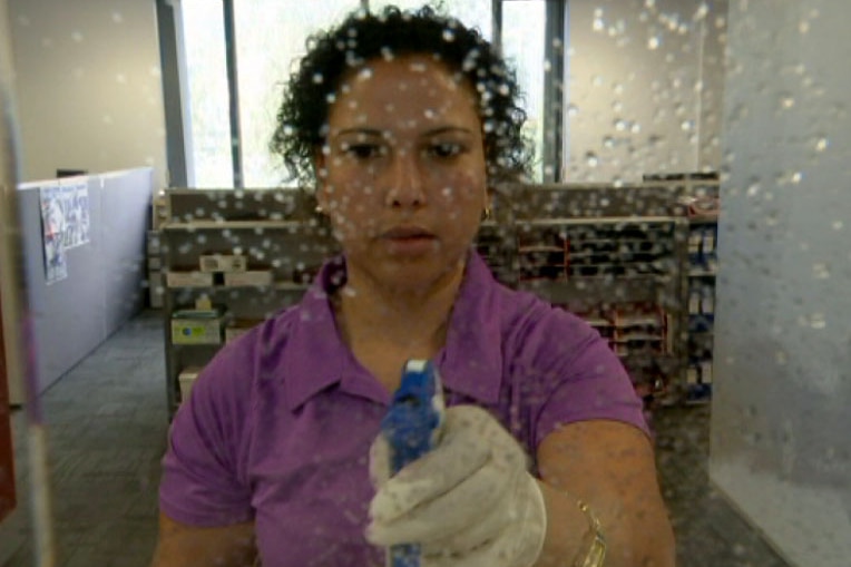 Mary Rizk cleans an office window.
