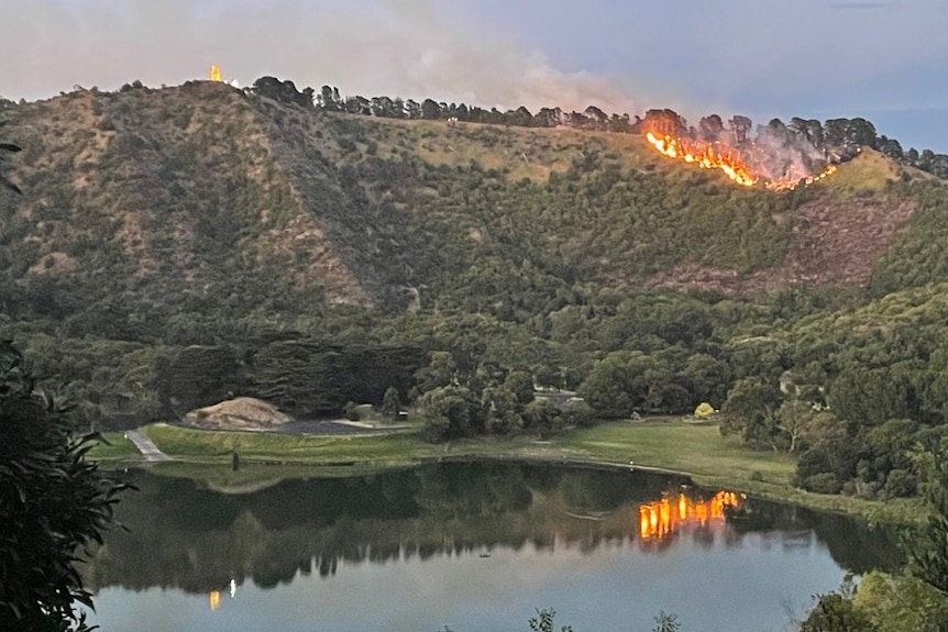 A fire near a lake as day dawns