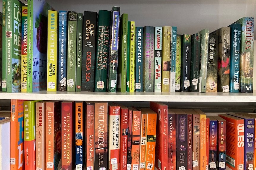 Shelves at Vinnies: including a series of green and orange novels