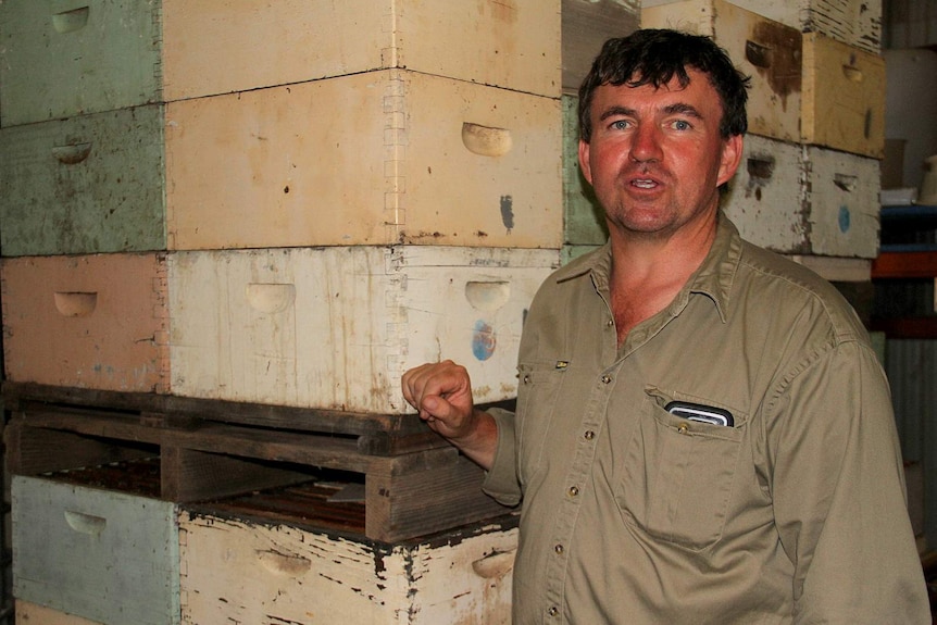 Apiarist Kieran Sunderland preparing hives