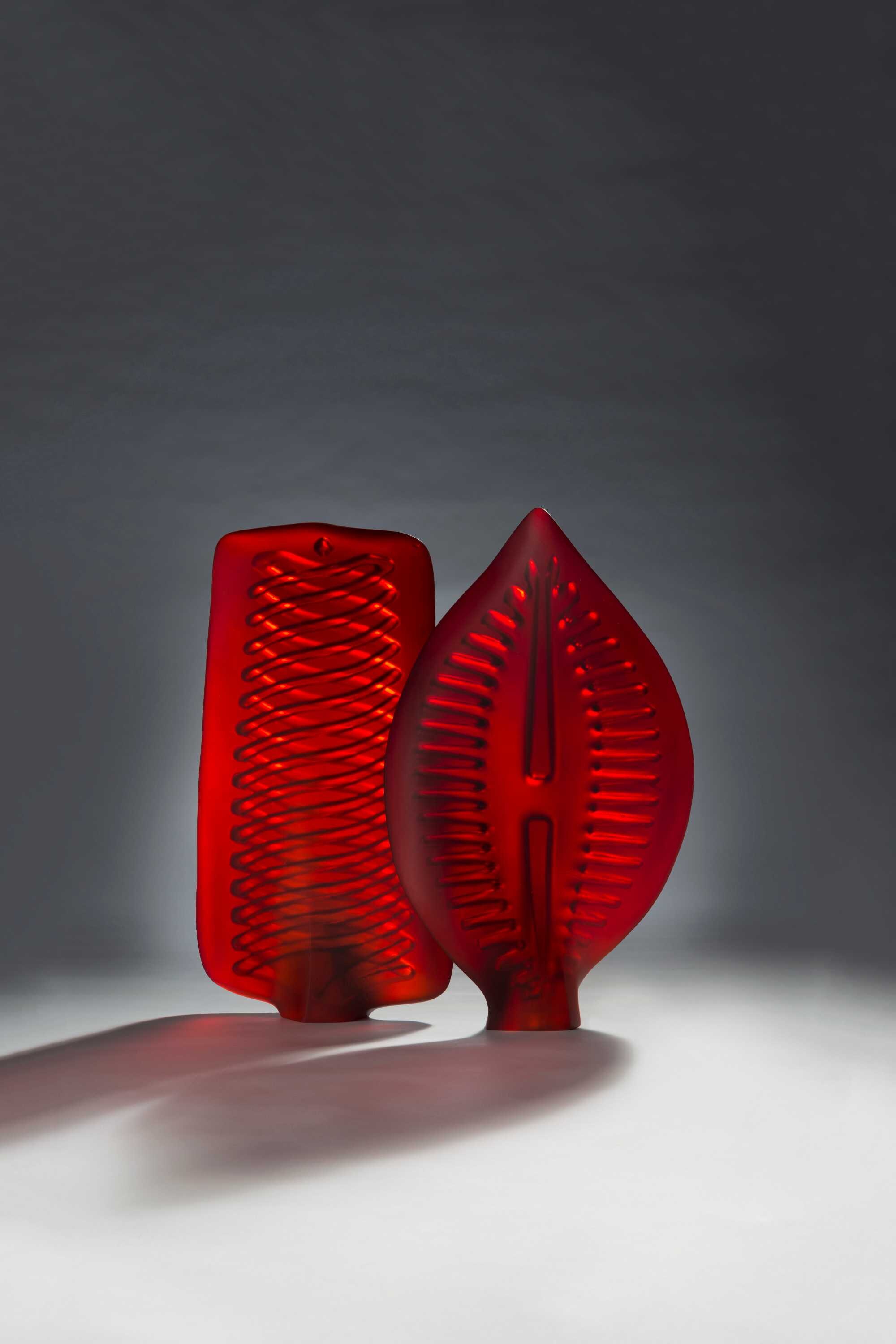 Artworks show beauty of natural science ABC News