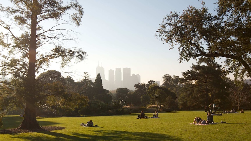 At golden hour, you view a bright green lawn with picnic groups scattered around and foliage that stretch to the horizon.