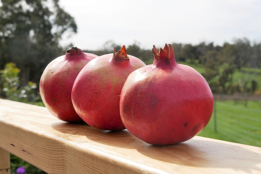 Three pomegranates in a row