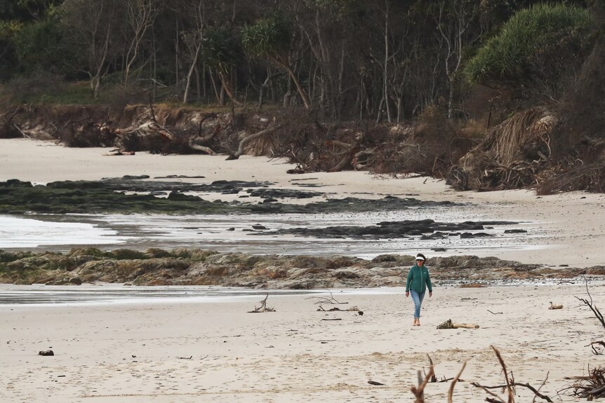 A long distance shot of a woman walking on a beach strewn with branches