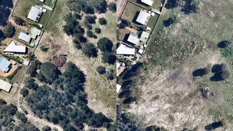 A composite of satellite images showing land that was cleared of trees. 