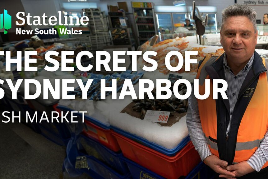The Secrets of Sydney Harbour, Fish Market: Man standing in front of seafood on ice