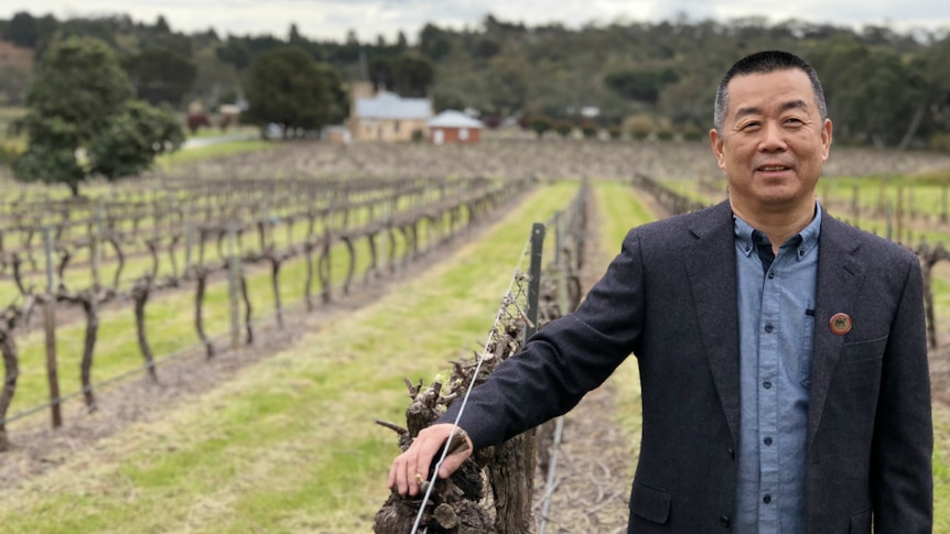 Businessman Arthur Wang stands beside grape vines at his winery, 1847 Wines.