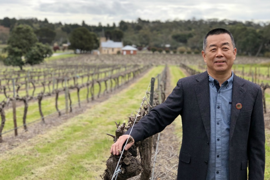 Businessman Arthur Wang stands beside grape vines at his winery, 1847 Wines.