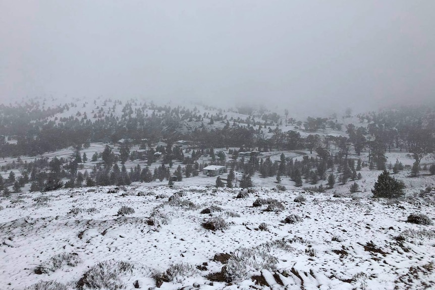 Snow covers hillsides at Willow Springs Station in the Flinders Ranges.