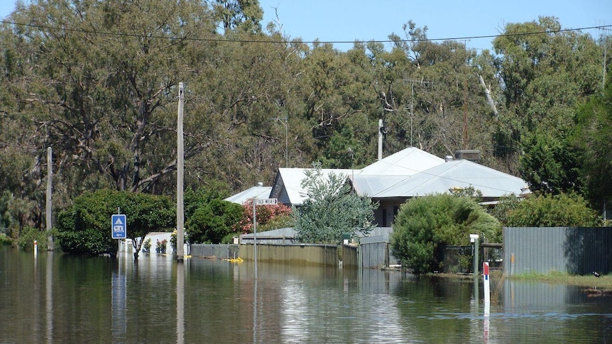 Houses are surrounded by water in Dimboola