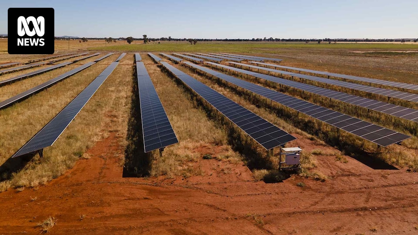 The first hint of the Haystacks Solar Farm near Grong Grong, about five-and-a-half hour's drive from Sydney, is a subtle glint of sunshine as it 