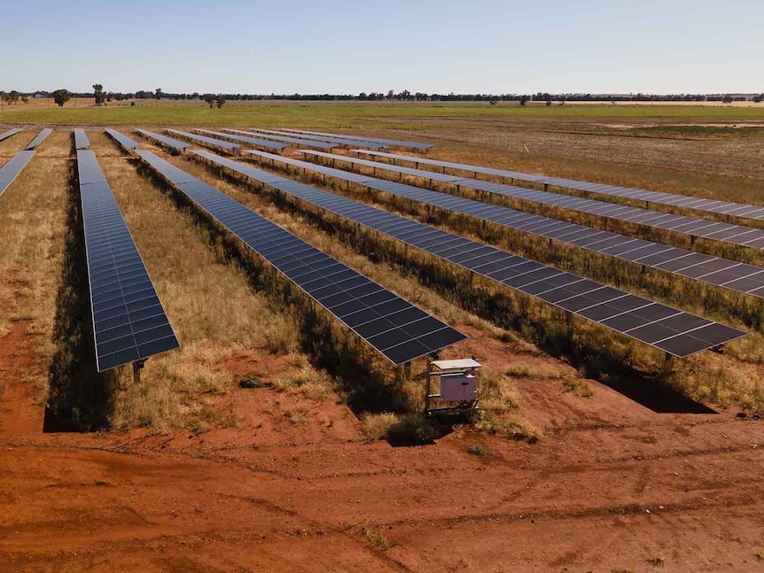 Lines of solar panels on a paddock 