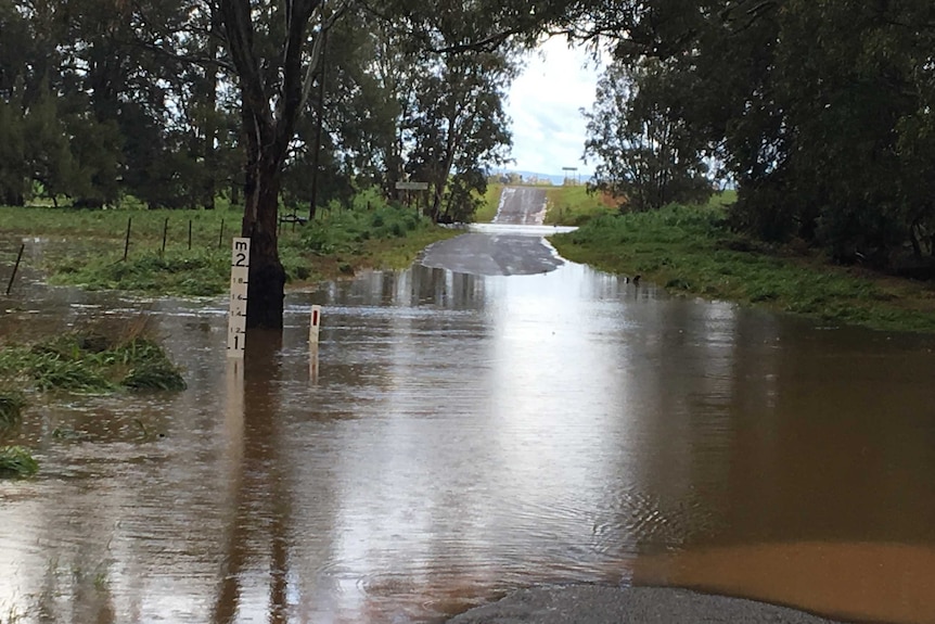 A swollen Belubula River after heavy rain.