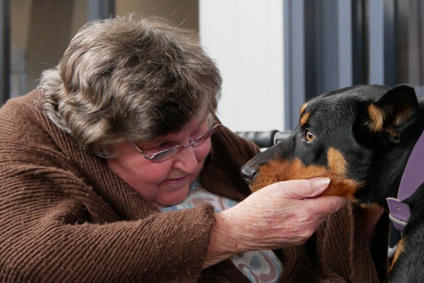 Woman sitting, hand on dogs chin, face-to-face interaction.