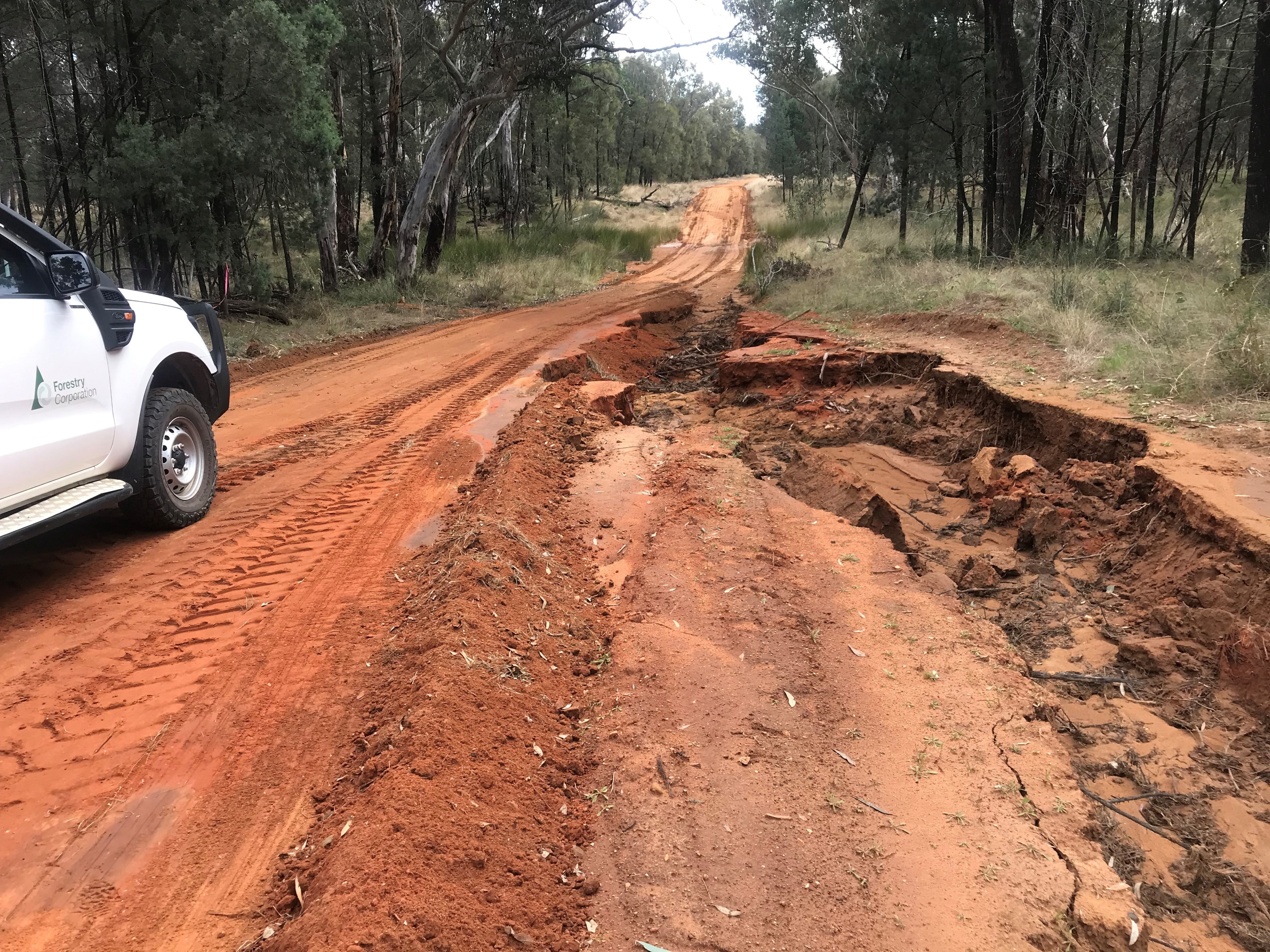 Pilliga road