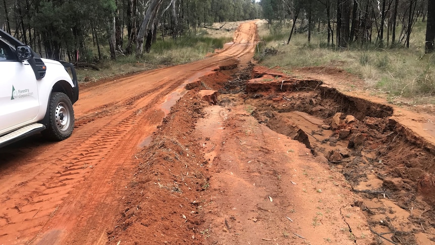 Pilliga road