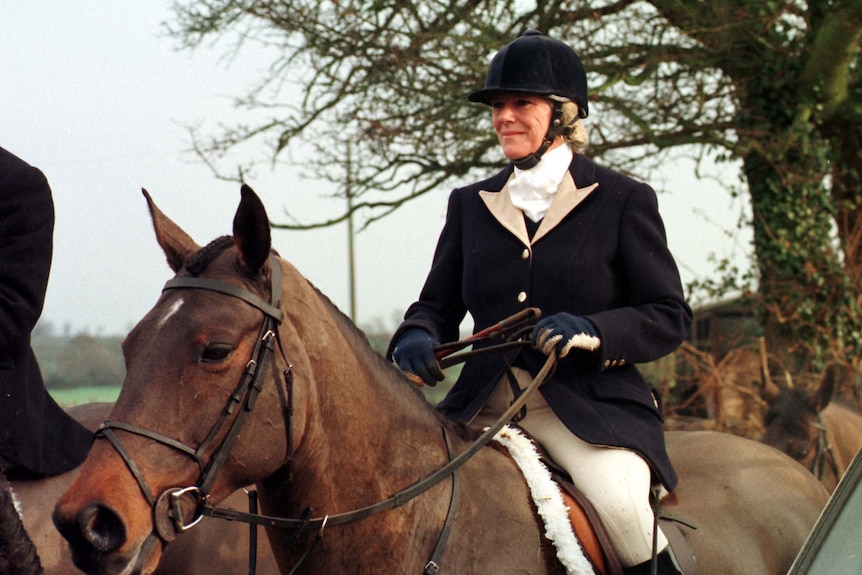 A woman wearing a black helmet and black jacket sits on a horse while holding the reigns.