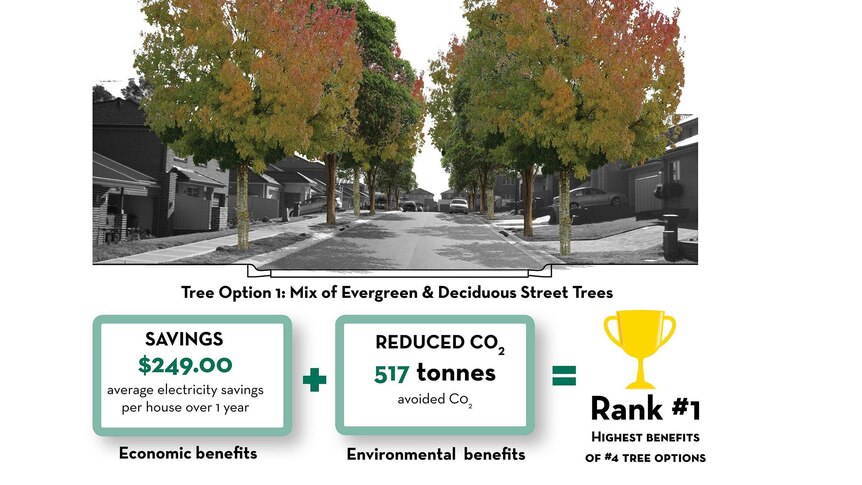 Cool Streets infographic about the benefits of increasing trees