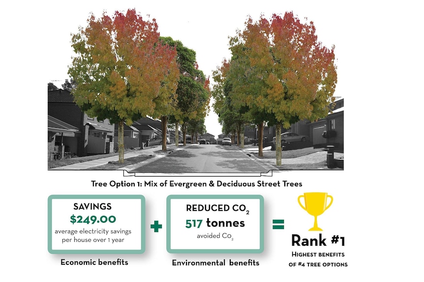 Cool Streets infographic about the benefits of increasing trees