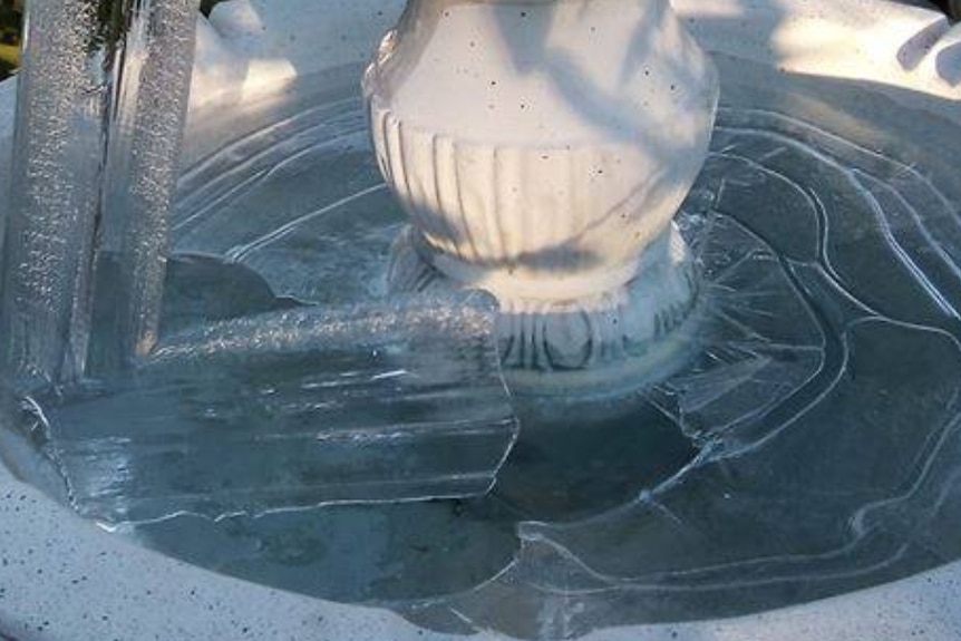 A frozen bird bath in Alice Springs