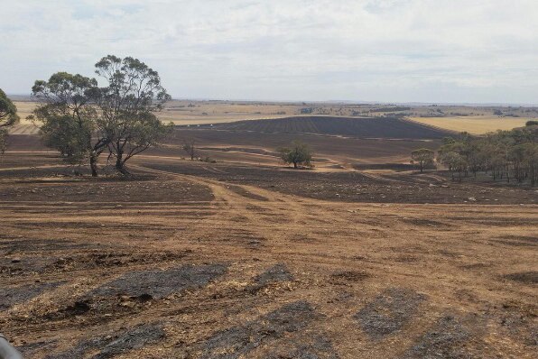 Black paddocks scar the horizon after fire tears through crops