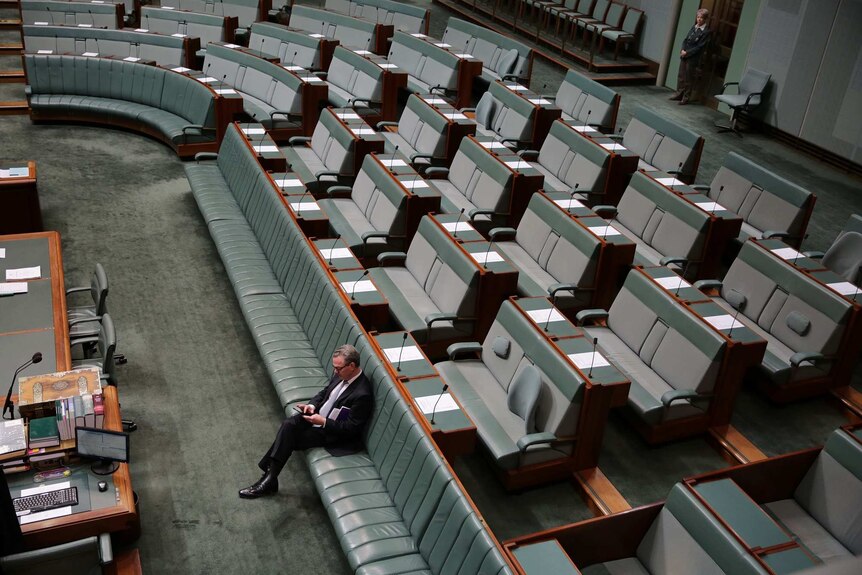 Christopher Pyne in Parliament